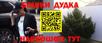 гидропоника Славгород