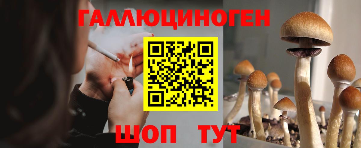 Галлюциногенные грибы ЛСД Похвистнево
